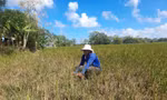 Nhận diện thách thức an ninh nguồn nước vùng Đồng bằng sông Cửu Long