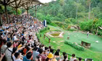 Du lịch Phú Quốc bội thu dịp Tết 
