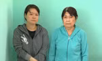 Bắt 2 mẹ con hoạt động nhằm lật đổ chính quyền nhân dân