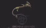 Lễ hội ánh sáng ở Hà Nội đêm Giao thừa được quốc tế ngợi ca