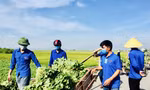 Giúp người dân 'giải cứu' hơn 20 tấn rau xanh chỉ trong một buổi sáng