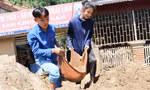 Sắc xanh tình nguyện chung tay giúp người dân vùng lũ quét