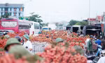 Một "đặc sản" của chợ vải thiều ở tỉnh Bắc Giang nằm dọc quốc lộ 31 là tắc đường vào đầu giờ sáng, khi có hàng nghìn người dân chở vải bán ở các điểm cân.