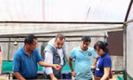 Ca cao khan hiếm giữa ‘cơn sốt’ giá kỷ lục