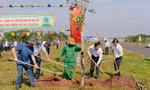 Thêm cây xanh cho thành phố lọt top tỷ lệ cây xanh cao nhất nước