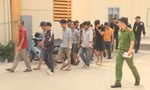 Phá trường đá gà quy mô lớn ở Đắk Lắk