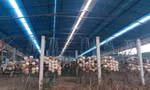 Xin cấp phép làm trang trại rồi ra sức sản xuất... điện mặt trời