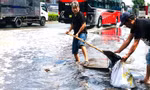 Quốc lộ 13 gần trạm thu phí Bình Dương ‘ngập như lũ về’, bốc mùi hôi tanh