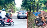 Vụ nghi án giết người phân xác: Huy động hơn 100 công an tìm phần thi thể còn lại 