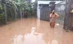 Video: Triều cường đạt đỉnh, Bình Dương cảnh báo nguy cơ ngập vùng ven sông Sài Gòn