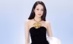 Hoa hậu Huỳnh Thị Thanh Thủy và dàn hoa, á hậu khoe vai trần trên thảm đỏ
