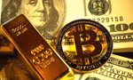 Bitcoin lao dốc, nhà đầu tư 'bốc hơi' hàng trăm triệu USD