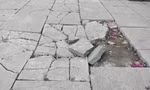 Đá lát vỉa hè ở TP Yên Bái vỡ nát dù mới đưa vào sử dụng