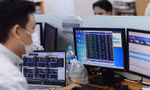 Cổ phiếu chứng khoán, bất động sản có diễn biến mới 