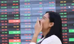 Chứng khoán vượt đỉnh, dòng tiền 'săn' cổ phiếu midcap