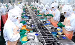 Lộ diện tỉnh duy nhất Việt Nam có vốn FDI vượt mốc 3 tỷ USD 