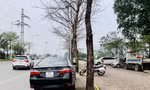 Lái xe Camry vi phạm nồng độ cồn, giấy phép lái xe mua... trên mạng