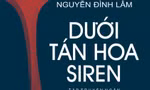 Một thực thể Việt và những mảnh vỡ của số phận... 