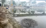 Người thả cá kẻ thả tro hương, mặt nước hồ ‘biến dị’ trong ngày ông Công ông Táo