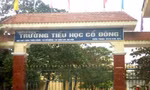 Trường học 'xé rào' thu phí gây bức xúc: Đổ lỗi cho phụ huynh, trách nhiệm của ban giám hiệu ở đâu?
