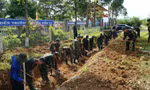 Nhiều hoạt động tình nguyện ấn tượng của tuổi trẻ TT-Huế