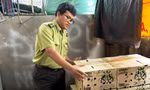 Nhiều cán bộ, nhân viên kiểm lâm tại Huế bị nợ lương 3 tháng