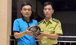 Người dân tự nguyện giao nộp con vật quý hiếm, nguy cơ tuyệt chủng