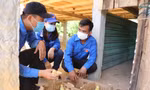 Tuổi trẻ Quảng Trị sôi nổi chiến dịch Hành quân xanh và Kỳ nghỉ hồng