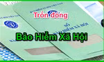 Lần đầu tiên khởi tố doanh nghiệp ở Phú Yên trốn đóng bảo hiểm xã hội