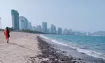 Dầu vón cục trôi vào bãi biển Nha Trang. Ảnh L.H