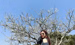Mẹo đi du lịch ít tốn tiền nhất dịp Tết