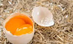 Đề nghị Bộ Công an điều tra, xử lý tin đồn trứng giả gây hoang mang