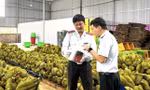 Mời chuyên gia Trung Quốc kiểm tra thực địa sầu riêng, gỡ vướng cho xuất khẩu