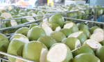 Dừa tươi Việt Nam lần đầu vượt tỷ USD, tiết lộ thị trường tiêu thụ mạnh nhất 