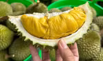 Trung Quốc ra cảnh báo với sầu riêng, mít Việt Nam