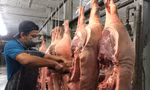 Giá thịt heo lao dốc 