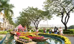 Hội hoa xuân Phú Mỹ Hưng 2018 hấp dẫn du khách
