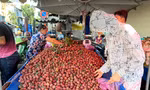 Mận hậu đổ bộ Sài thành, 'giá nào cũng có'