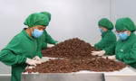 Kết thân với kiều bào hồi hương để bán hàng khắp thế giới