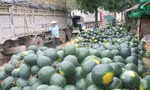 Nhiều loại nông sản không đưa được sang biên giới do bị Trung Quốc áp dụng quy định tạm dừng nhập khẩu