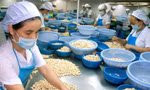 Hiệp hội Điều Việt Nam cũng cho biết, đã đề nghị 4 hãng tàu tham gia vận chuyển hỗ trợ giảm tiền cược từ 150% giá trị mỗi container hàng xuống 110% để doanh nghiệp Việt lấy lại hàng bán cho các đối tác mới.