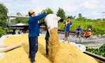 Giá gạo tăng từng ngày, Bộ Công Thương có động thái mới 