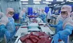 Hoạt động chế biến thủy sản xuất khẩu của một doanh nghiệp phía Nam. Ảnh: Như Ý
