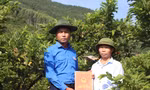 Anh Nguyễn Văn Thức (bên trái), Bí thư Ðoàn xã Bảo Ðài trở thành “bà đỡ” tiêu thụ nông sản cho hàng chục nông dân và thanh niên địa phương