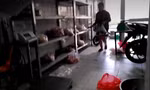 Thịt được phân loại, bày trên kệ chờ nhân viên mang đi giao