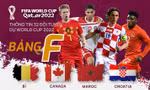 Thông tin 32 đội tuyển dự World Cup 2022: Bảng F