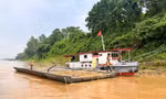 Binh chủng công binh trả lời về thông tin 'cầu phao Phong Châu bị lũ cuốn'