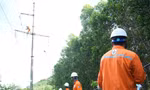 Thanh Hóa: Khai thác cây keo bị đổ vào đường dây gây cháy, chập điện