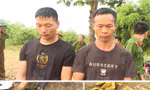 Diễn biến mới vụ mộ vua Lê Túc Tông ở Thanh Hóa bị đào bới