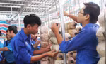 Thanh niên đang rất cần hỗ trợ nguồn vốn để phát triển kinh tế ở các địa phương.